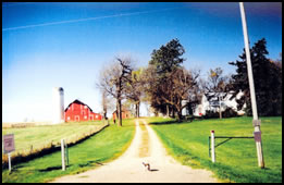 Bucher Farm in the 1990s