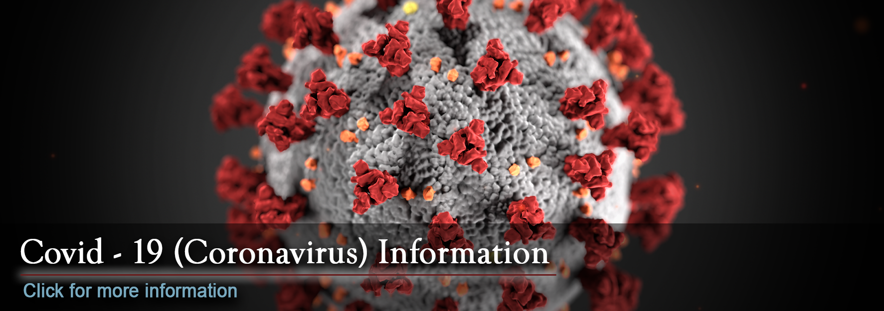 Covid-19 (Coronavirus) Information